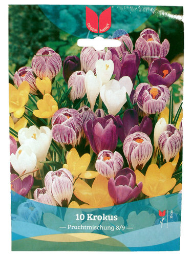 Blumenzwiebeln - Krokusse großblütige Prachtmischung - 10 Stück