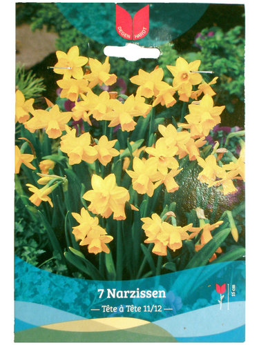 Blumenzwiebeln - Narzissen Tête à Tête - 7 Stück