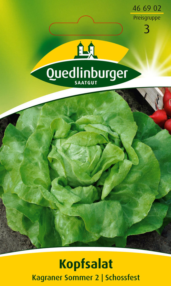 Quedlinburger Saatgut - Kopfsalat Samen - Kagraner Sommer 2