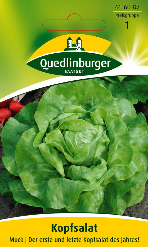 Quedlinburger Saatgut - Kopfsalat Samen - Muck