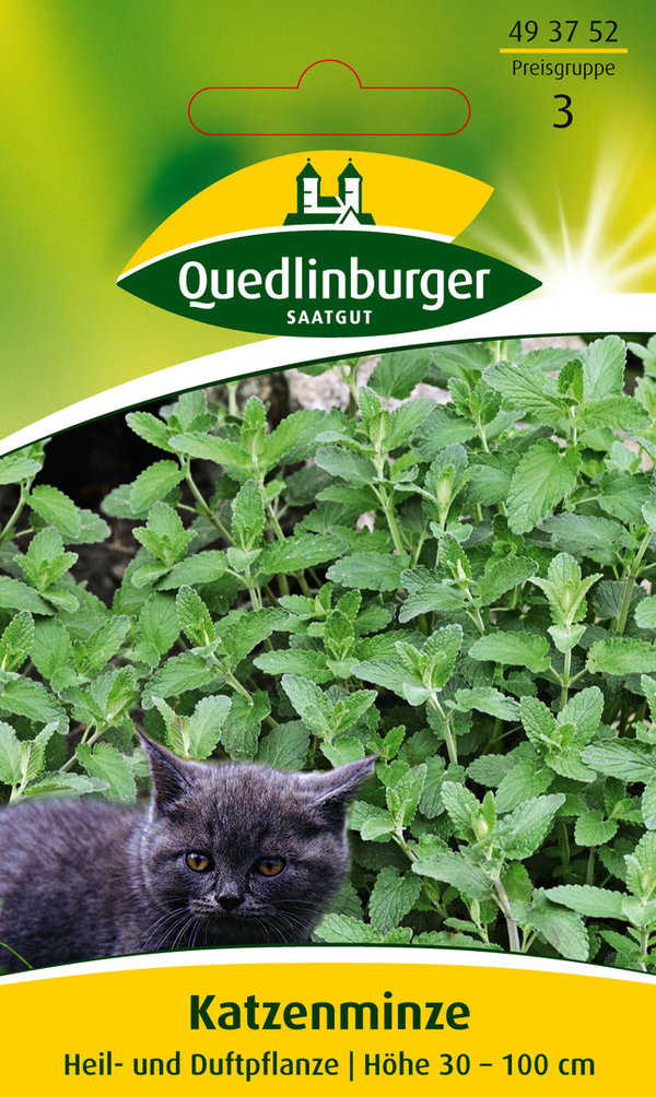 Quedlinburger Saatgut - Katzenminze Samen