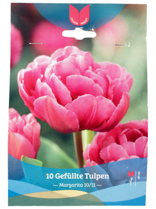 Blumenzwiebeln - Tulpen Gefüllt Margarita - 10 Stück